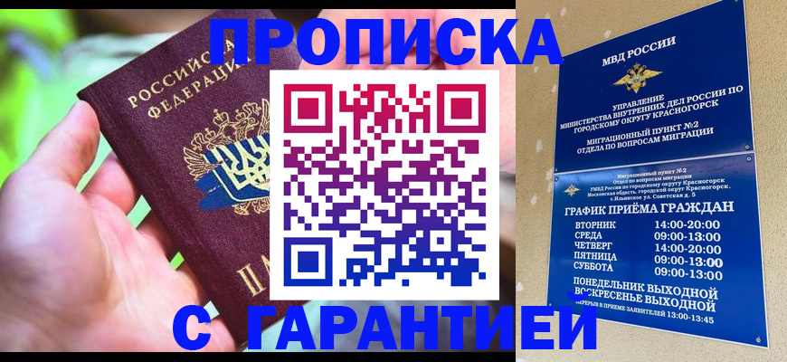 временная регистрация 2025 в Сольцах